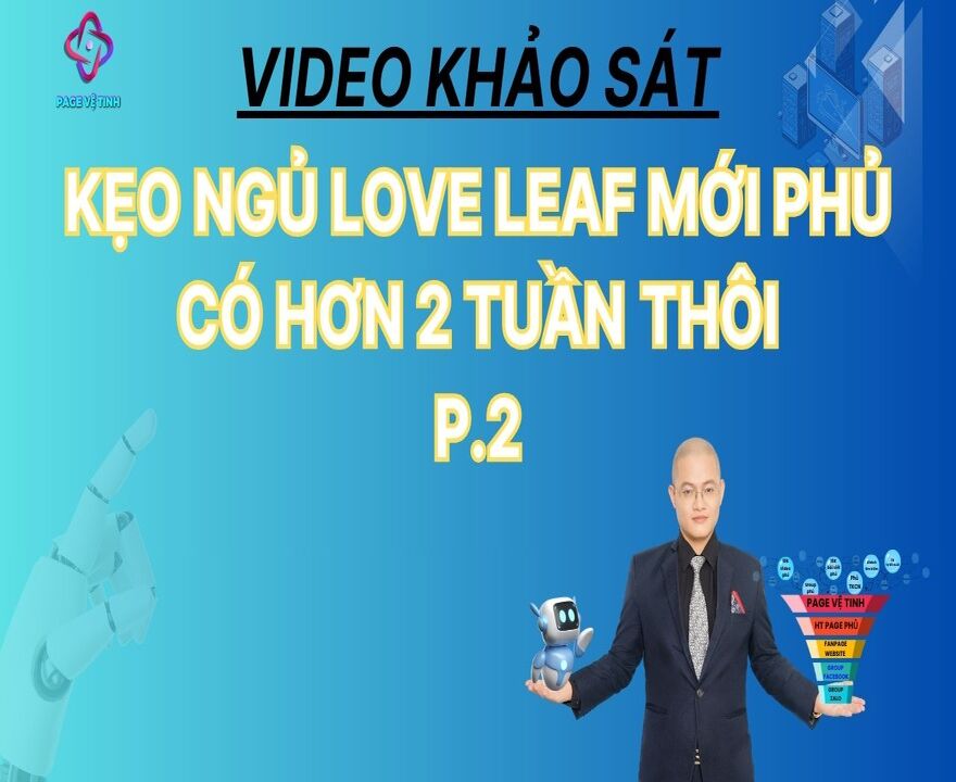 (P2) Video Khảo Sát Sp Kẹo Ngủ Love Leaf Mới Phủ Được Có Hơn 2 Tuần Thôi .